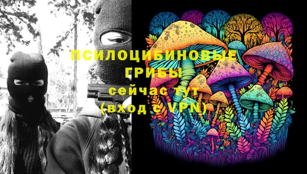 стафф Зеленокумск
