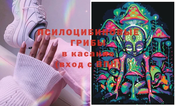 apvp Зеленодольск