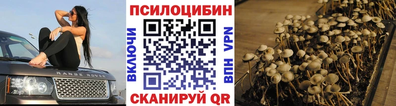 Псилоцибиновые грибы Psilocybine cubensis  цены   Норильск 